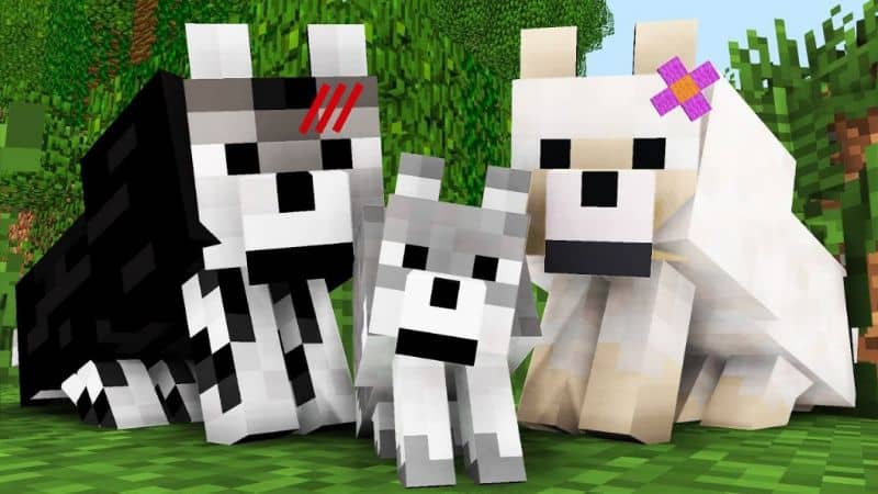 Minecraft で動物やペットに名前を付ける方法